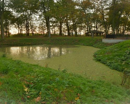 Nowe 3 pokoje, ogród, klima, 5 km do Wrocławia