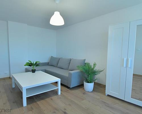 2 pokoje z oddzielną kuchnią, obok parku