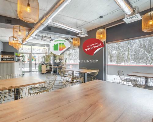 gotowy lokal gastronomiczny, ul. Borkowska, Kliny