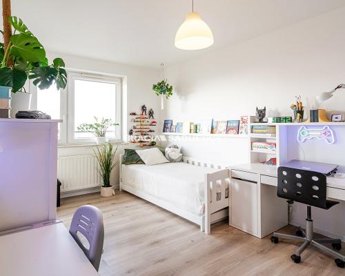 widokowe 2 pok.+kuchnia, Płaszów, tramwaj na najem