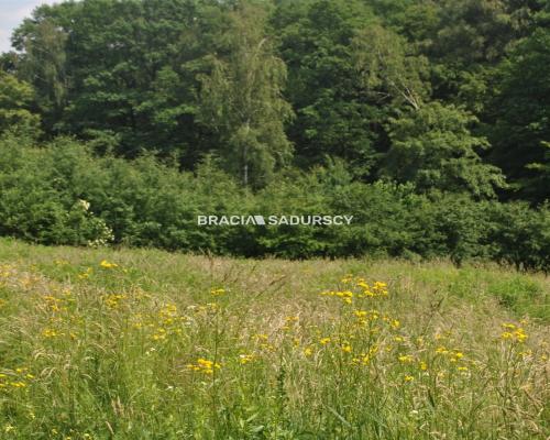 Atrakcyjna nieruchomość w Rajsku