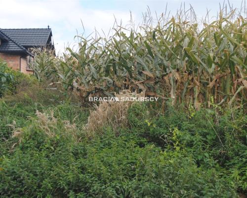 Działka budowlana w Proszowicach