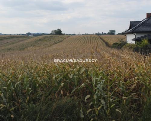 Działka budowlana w Proszowicach