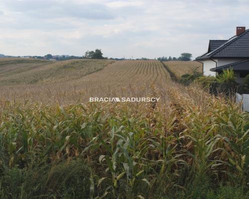 Działka budowlana w Proszowicach