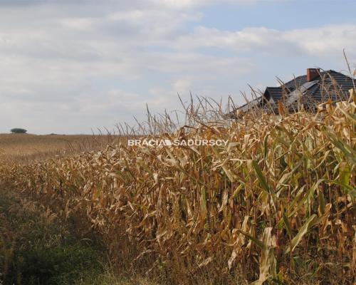 Działka budowlana w Proszowicach
