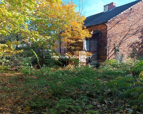 Atrakcyjna nieruchomość inwestycyjna w Krakowie