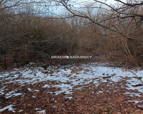 Duża działka inwestycyjna  w Czarnochowicach