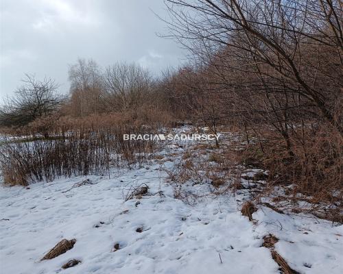 Duża działka inwestycyjna  w Czarnochowicach