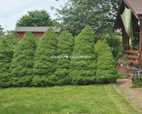 Działka ROD zabudowana budynkiem murowanym.