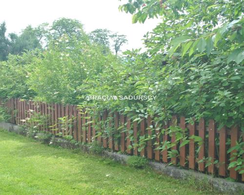 Działka ROD zabudowana budynkiem murowanym.