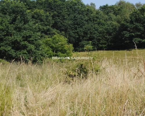 Nieruchomośc przy lesie w Chorowicach