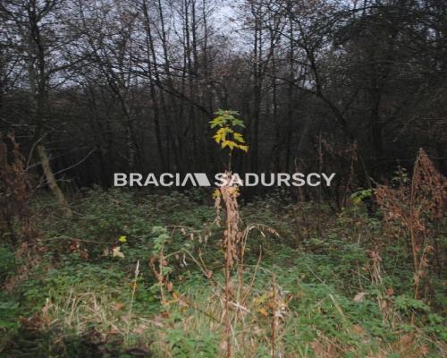 Do sprzedania nieruchomość o powierzchni ponad 1,7 ha  w miejscowości Libertów gm.Mogilany, Według aktualnego planu zagospodaro