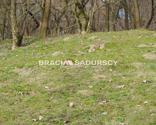 Do sprzedania działka budowlano- rolna ,częściowo zalesiona ,o pow ,48 arów ,/w tym 5 arów budowlane /w miejscowości Malkowice