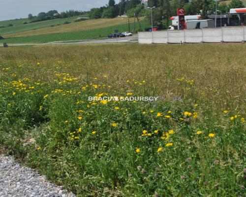 Duża działka usługowa w rejonie drogi nr 94 w