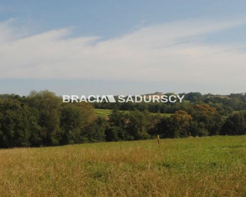 Okazja!!!Do sprzedania duża nieruchomość .