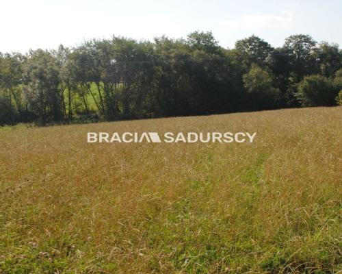 Okazja!!!Do sprzedania duża nieruchomość .