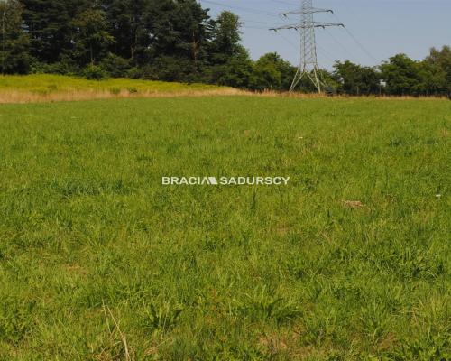 Duża działka budowlana w Kryspinowie.