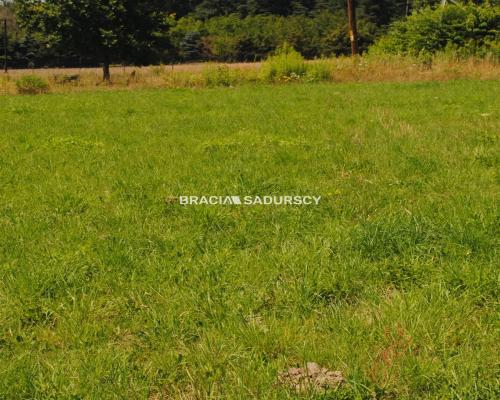 Duża działka budowlana w Kryspinowie.