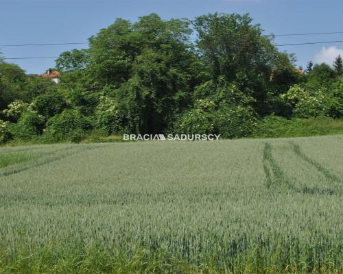Duża działka inwestycyjna w Brzeziu gm.Kłaj