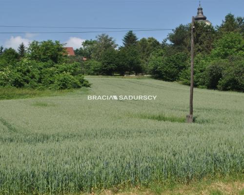 Duża działka inwestycyjna w Brzeziu gm.Kłaj