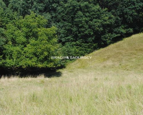 Duża nieruchomośc przy lesie w Chorowicach