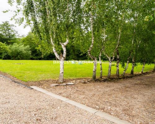 Działka budowlano-rolna w Łazanach gm.Biskupice