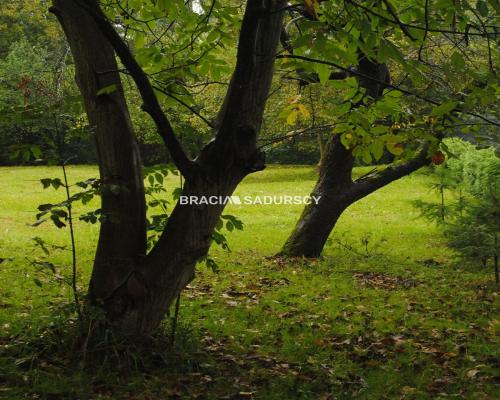 Działka w rejonie ul. Wielickiej w Krakowie