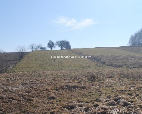 Duża działka budowlano-rolna w Bodzanowie