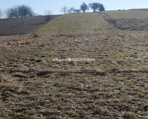 Duża działka budowlano-rolna w Bodzanowie