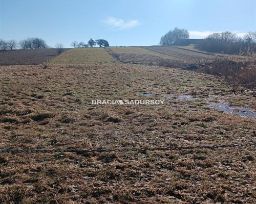 Duża działka budowlano-rolna w Bodzanowie