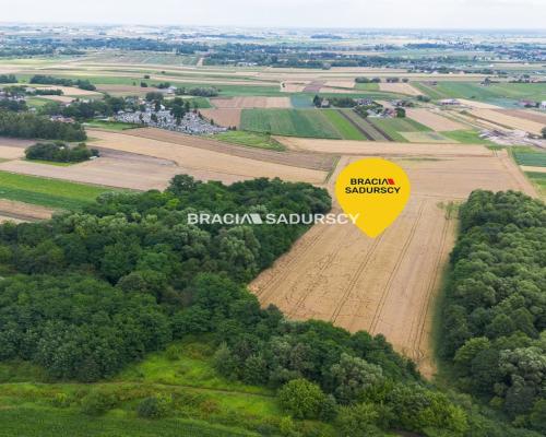 1,7 ha – przemysł/usługi,Kraków - Igołomska