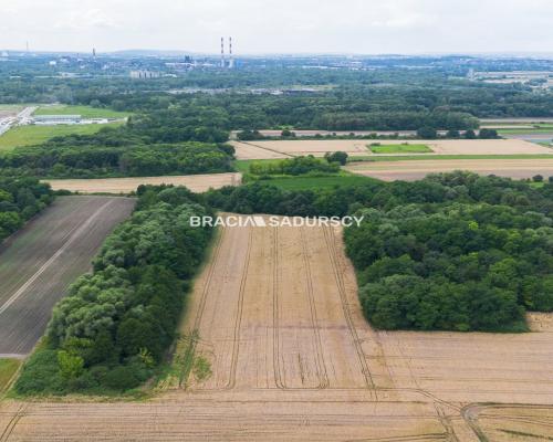 1,7 ha – przemysł/usługi,Kraków - Igołomska