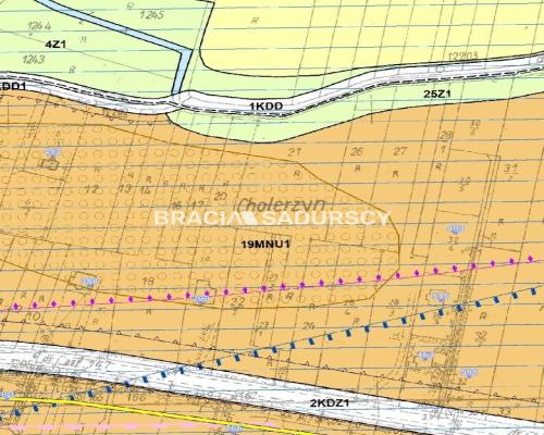 Działka budowlana / 25 ar / płaska / Cholerzyn