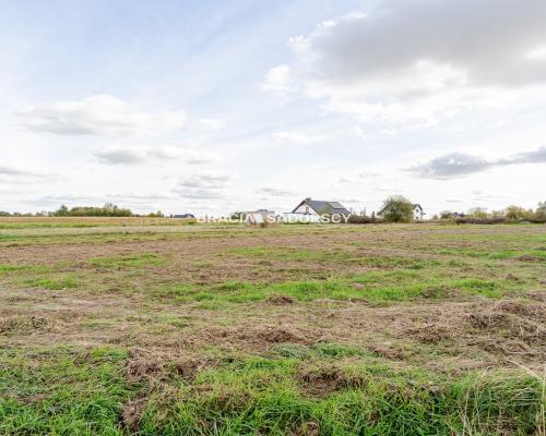 Działka budowlana / 25 ar / płaska / Cholerzyn