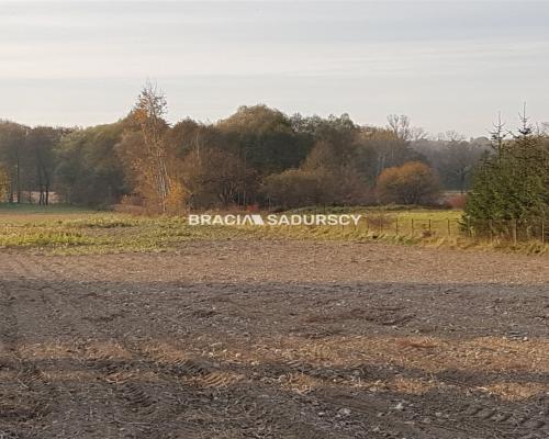 płaska działka o powierzchni 85 arów, w tym 15 a