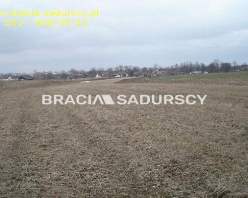 działka rolno-budowlana o powierzchni 89 arów