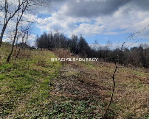 Działka budowlana w otoczeniu lasu 