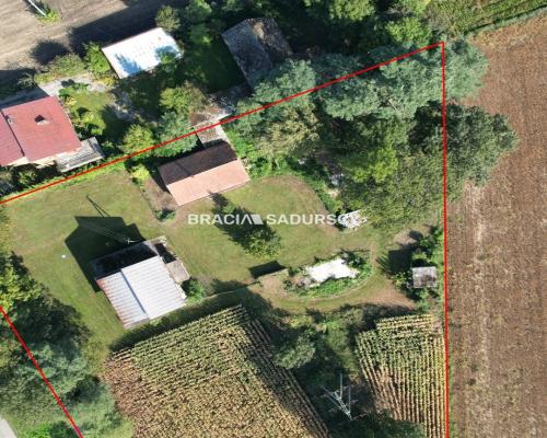 Sieradzice gmina Kazimierza Wielka