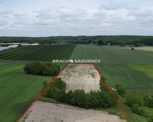 Działka rolna o pow. 3 ha - Prandocin-Iły   
 
Oferujemy na sprzedaż działkę rolną o pow. 3 ha położoną w Prandocinie Iły k/Sło