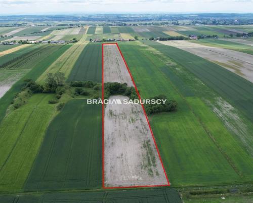 Działka rolna o pow. 3 ha - Prandocin-Iły   
 
Oferujemy na sprzedaż działkę rolną o pow. 3 ha położoną w Prandocinie-Iły k/Sło