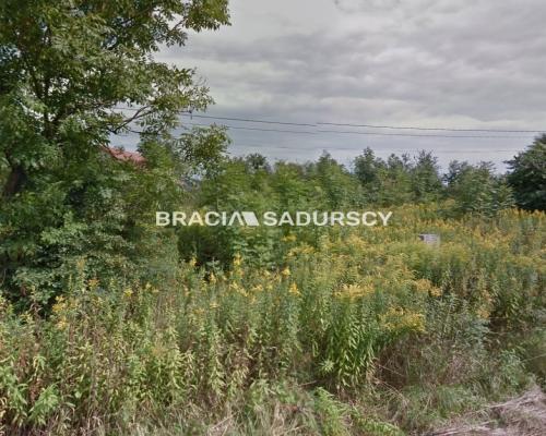 Działka w Kryspinowie, Liszki