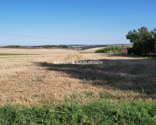 Na sprzedaż działka budowlana 14 a - Lesieniec / Sieciechowice, gmina Iwanowice  

 Do sprzedania działka budowlana o powierzch