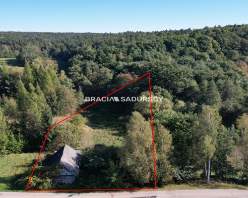 Poręba Żegoty, gmina Alwernia.