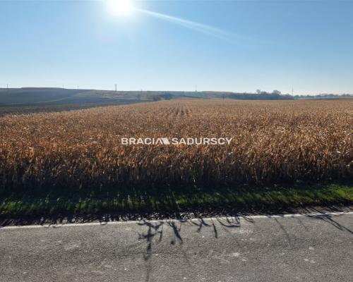 Działka budowlana Słomniki, Prandocin-Iły