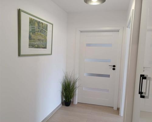 3-pokojowe mieszkanie z balkonem w centrum Gliwic