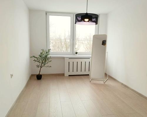 3-pokojowe mieszkanie z balkonem w centrum Gliwic