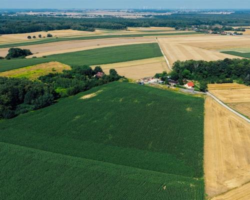 Działki na sprzedaż, powierzchnie od 626 do 813 m2