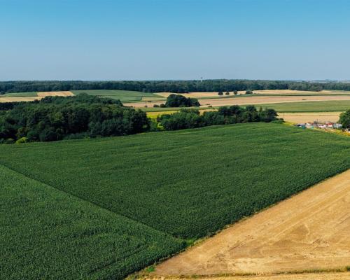 Działki na sprzedaż, powierzchnie od 626 do 813 m2