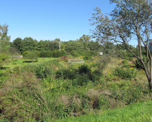 Usługowa działka na rogu Jastrzębskiej i Łużyckiej