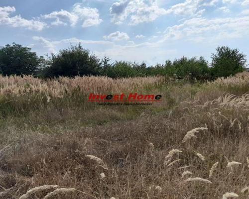 ✅ Urocza działka Niewiadom 935 m2 ✅